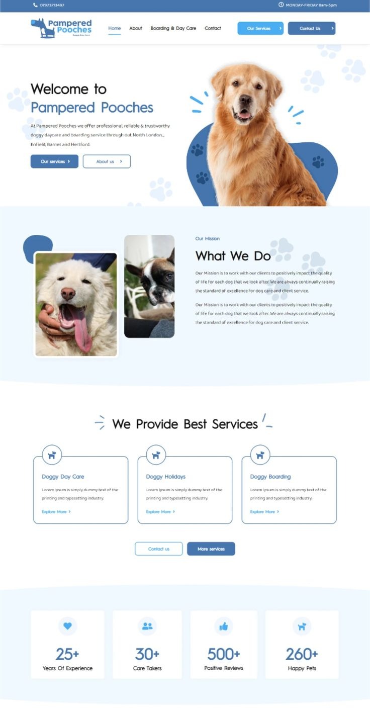 yếu tố Development Performance Landing page