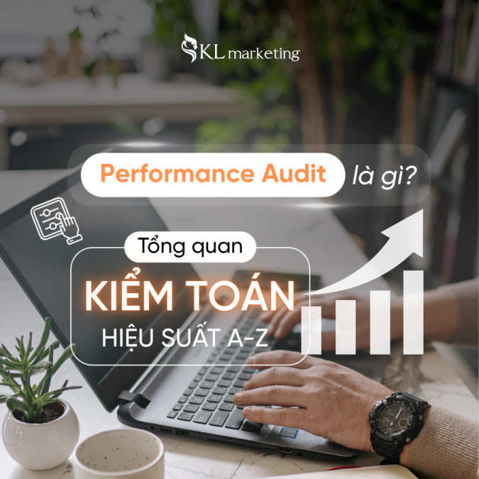 Performance Audit
